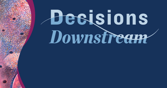 Decisions Downstream