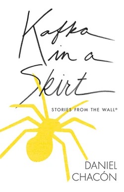 Book cover of Kafka in a Skirt by Daniel Chacón, showing a large yellow spider beneath handwritten black title text on a white background.