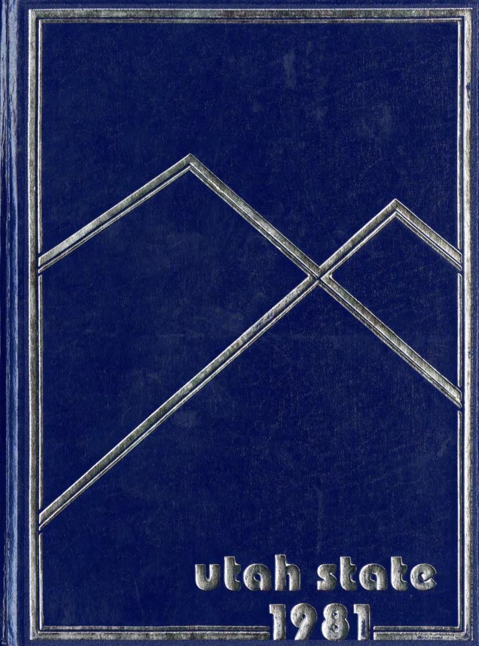 Blue yearbook cover with mountains made of silver lines. 1981 in silver lettering on bottom.