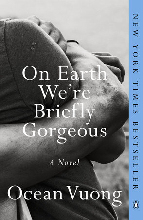 on earth we're briefly gorgeous book jacket