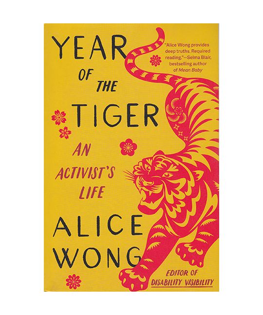 year of the tiger book jacket