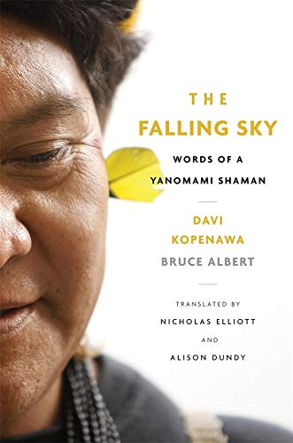 The Falling Sky book jacket