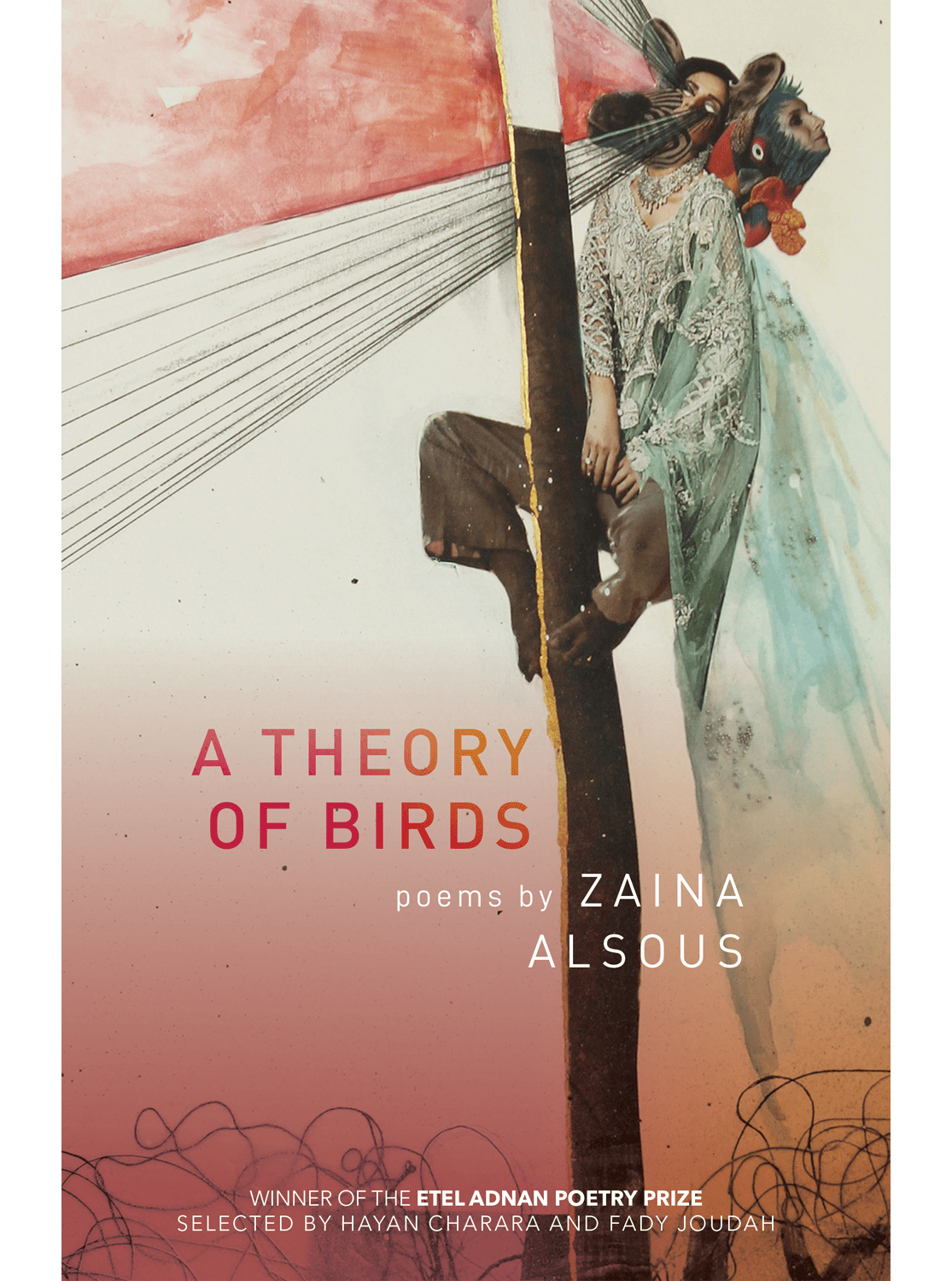 A Theory of Birds book jacket